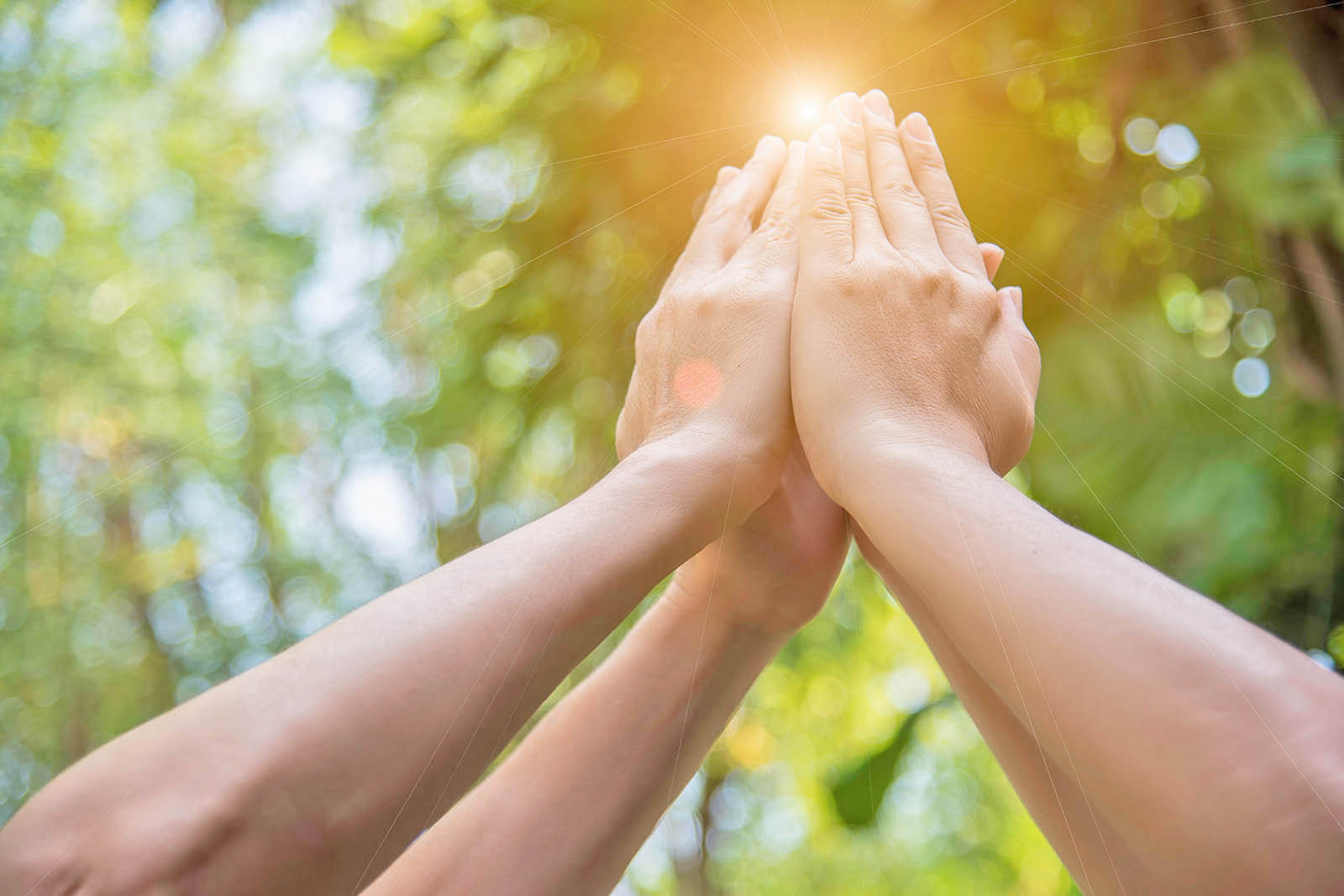 SIC合同会社について画像